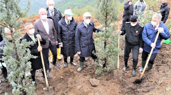 RİZE’DE 11 KASIM, SAAT 11.11’DE FİDANLAR TOPRAKLA BULUŞTU…