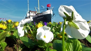 SAMSUN KIŞIN DA ÇİÇEK BAHÇESİ