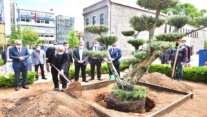 TRABZON BÜYÜKŞEHİR İKLİM DEĞİŞİKLİĞİYLE MÜCADELEYE DEVAM EDİYOR