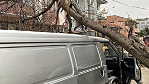 İşte Sakarya’da 2 günde oluşan hasarın bilançosu