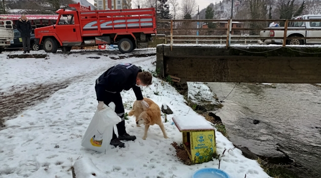 KAPIMIZIN ÖNÜNE SU VE MAMA BIRAKALIM