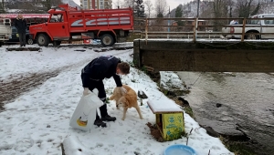  KAPIMIZIN ÖNÜNE SU VE MAMA BIRAKALIM