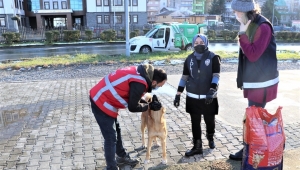 Rize İl Emniyet Müdürlüğü'nden sokak hayvanlarına destek