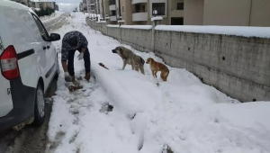 Safranbolu Belediyesi Can Dostları Unutmadı