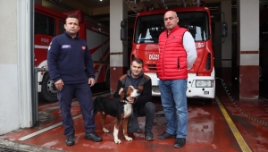 NEFES KESEN KÖPEK KURTARMA OPERASYONU