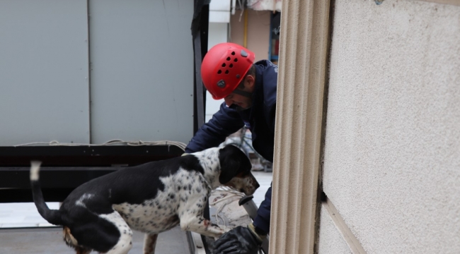 ÇATIDA KALAN KÖPEĞİ İTFAİYE KURTARDI