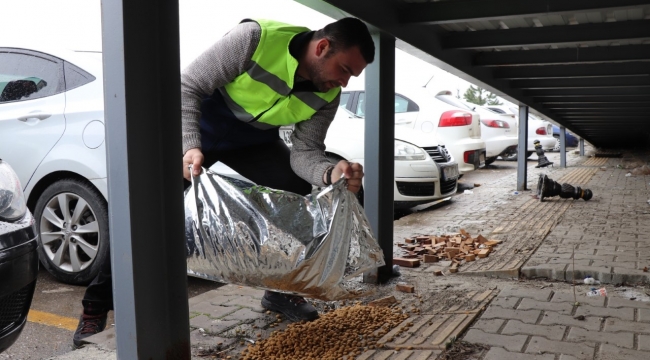 DÜZCE BELEDİYESİ, SOKAK HAYVANLARININ YANINDA
