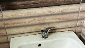 Parklarda Hırsızlık