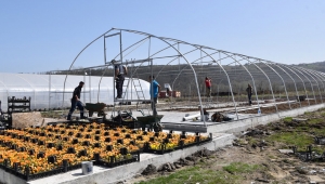 Ata Tohumu Projesi’nde 5’Inci Sera Kuruluyor