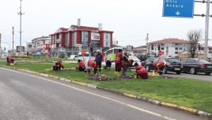 Yabani ot temizliği başladı