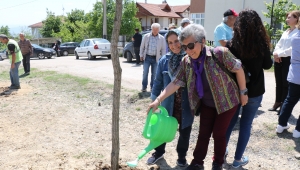 Emekli Öğretmenler Fidanları Toprakla Buluşturdu