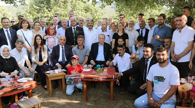 Cumhurbaşkanı Erdoğan, Ordu'da fındık bahçesini ziyaret etti