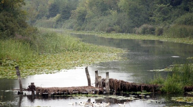 SAKARYA NEHRİ’NİN KARADENİZ’E DÖKÜLDÜĞÜ YER “KARASU”