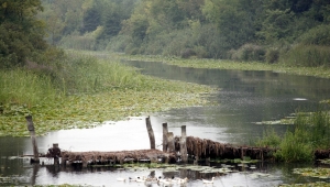 SAKARYA NEHRİ’NİN KARADENİZ’E DÖKÜLDÜĞÜ YER “KARASU”