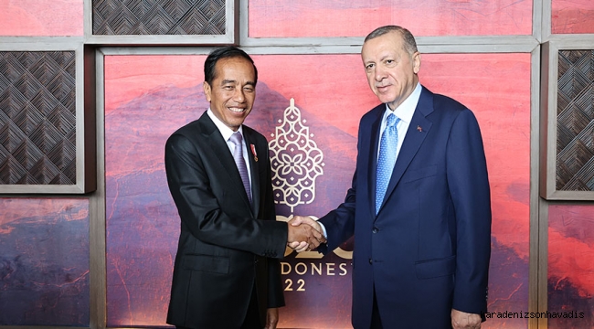 Cumhurbaşkanı Erdoğan, Endonezya Devlet Başkanı Widodo ile bir araya geldi