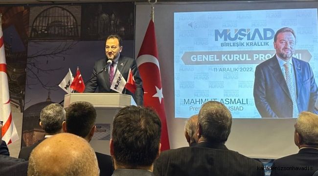 Asmalı: Türkiye, bölgesel krizlerde çözüm odaklı politikalarda önemli bir rol üstleniyor