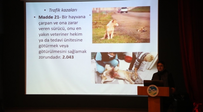 Büyükşehir’den sokak hayvanları için önemli eğitim
