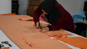 BELMEKTE HUMMALI ÇALIŞMA