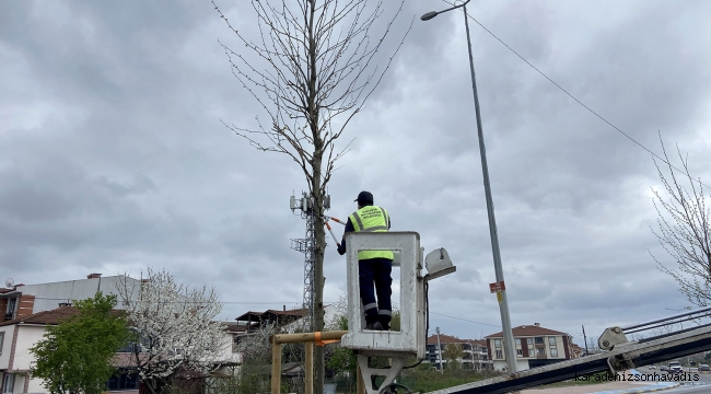 Büyükşehir’den Şehit İlhan Aras’ta ilkbahar dokunuşu