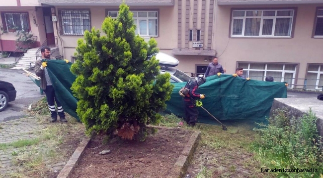 Kdz. Ereğli'de bahar temizliği yapılıyor