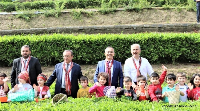 RİZE BÜROKRATLARININ ÇOCUKLARLA ÇAY HASADINDA RENKLİ GÖRÜNTÜLER