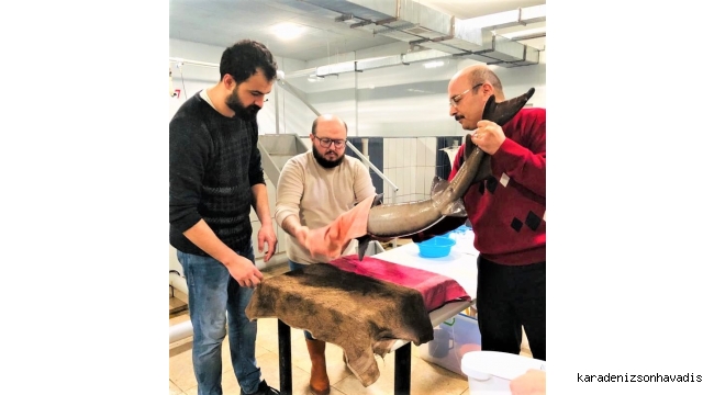 RTEÜ MERSİN BALIĞINI GELECEK NESİLLERE AKTARMA ÇALIŞMALARI YAPIYOR