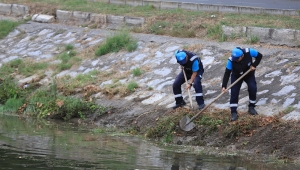 Çark Deresi ve çevresi Büyükşehir ekipleri ile daima temiz