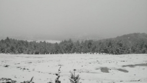 Bolu’da okullar tatil oldu