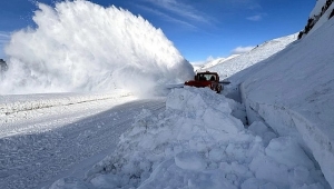 Ardahan-Artvin karayoluna çığ düştü