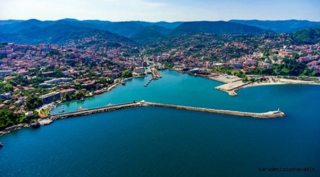 Prof.Dr. Ahmet Ercan 'dan Zonguldak'a taşının tavsiyesi