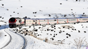 TÜRKİYE TURİSTİK TRENİ SEVDİ