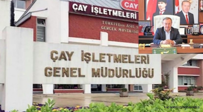 YAŞ ÇAY DESTEKLEME ÖDEMELERİ BAŞLADI