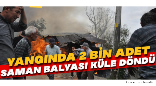 2 bin adet saman balyası alev alev yandı