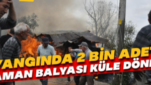 2 bin adet saman balyası alev alev yandı