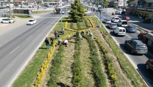 Yeşil Düzce için çalışıyorlar