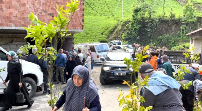 Çamlıhemşin'de yapılan fidan dağıtımına vatandaşlardan yoğun ilgi 