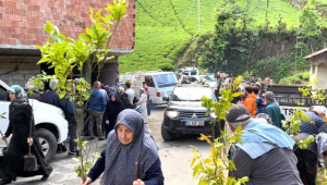 Çamlıhemşin'de yapılan fidan dağıtımına vatandaşlardan yoğun ilgi 