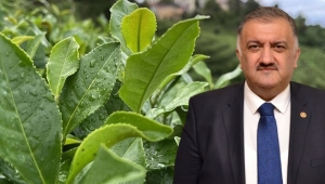 Karal: Açıklanan çay alım fiyatı 205 bin çay üreticimiz için tam bir hayal kırıklığı