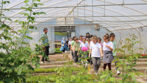 Minik eller çiçek dikti, tarımı öğrendi