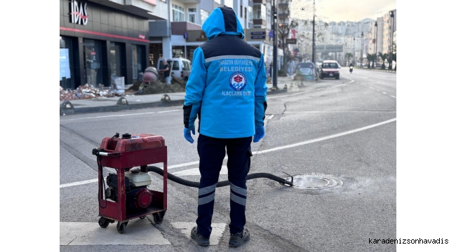 BÜYÜKŞEHİR VEKTÖRLE MÜCADELEDE YAZA HAZIR