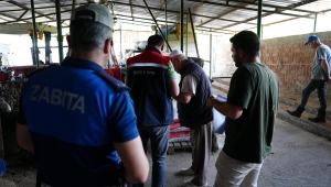 KURBAN SATIŞ VE KESİM YERLERİ DENETLENİYOR