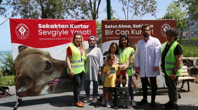 MİNİK CANLAR YENİ YUVALARINA KAVUŞTU