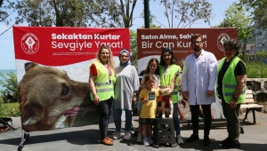 MİNİK CANLAR YENİ YUVALARINA KAVUŞTU