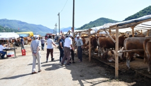 ORTAHİSAR BELEDİYESİ, KURBAN ETLERİNİ İHTİYAÇ SAHİPLERİNE ULAŞTIRACAK