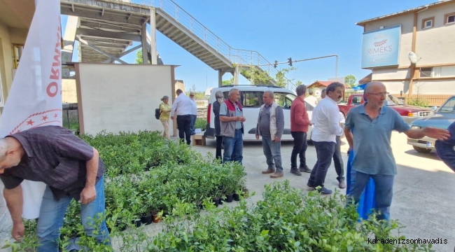 Rize’de maviyemiş fidanı üreticilere dağıtıldı