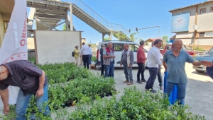 Rize’de maviyemiş fidanı üreticilere dağıtıldı