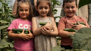 Uğur Böcekleri Doğayla Buluştu