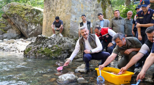 Artvin'de Hatila Vadisi Milli Parkı'ndaki dereye 5 bin alabalık yavrusu bırakıldı