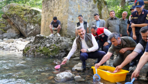 Artvin'de Hatila Vadisi Milli Parkı'ndaki dereye 5 bin alabalık yavrusu bırakıldı