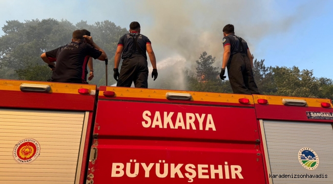 Büyükşehir’den orman yangınlarıyla ilgili açıklama: “İkisi kontrol altında”
